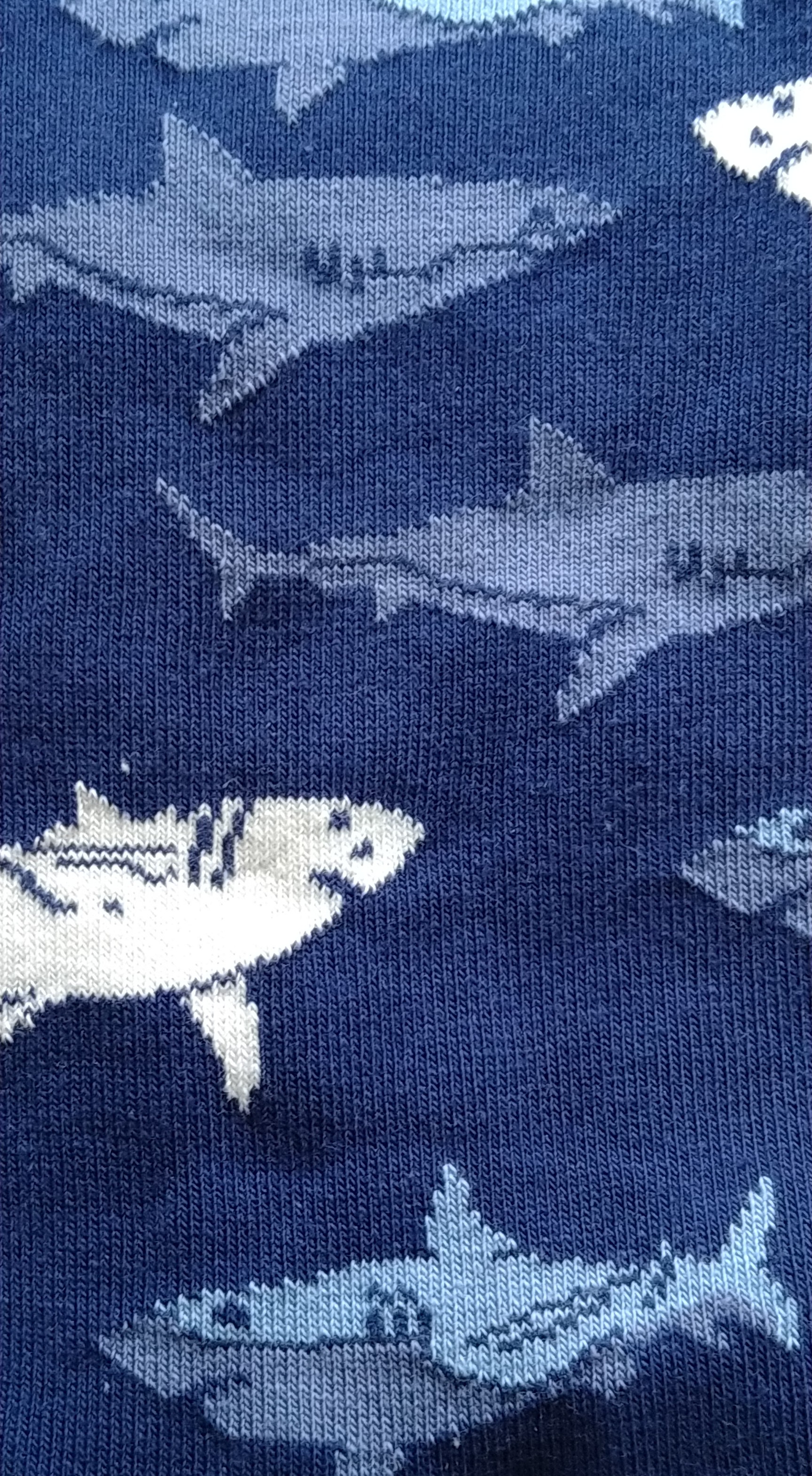 Shark Socks- Ten Tiny Toes Socks